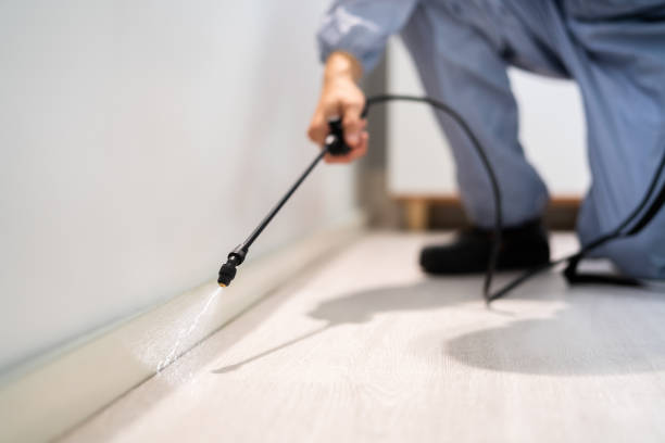 Rodent Entry Point Assessment in Laurinburg