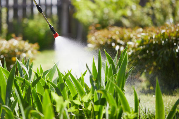 Tamper-Resistant Bait Stations for Rodents in Laurinburg