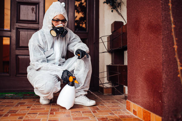 Attic and Crawl Space Rodent Treatment in Laurinburg