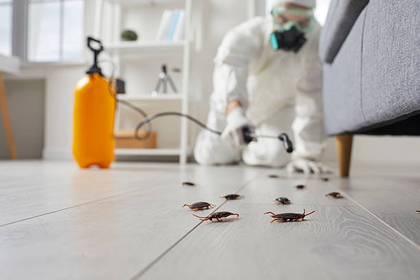 Commercial Rodent Management in Laurinburg
